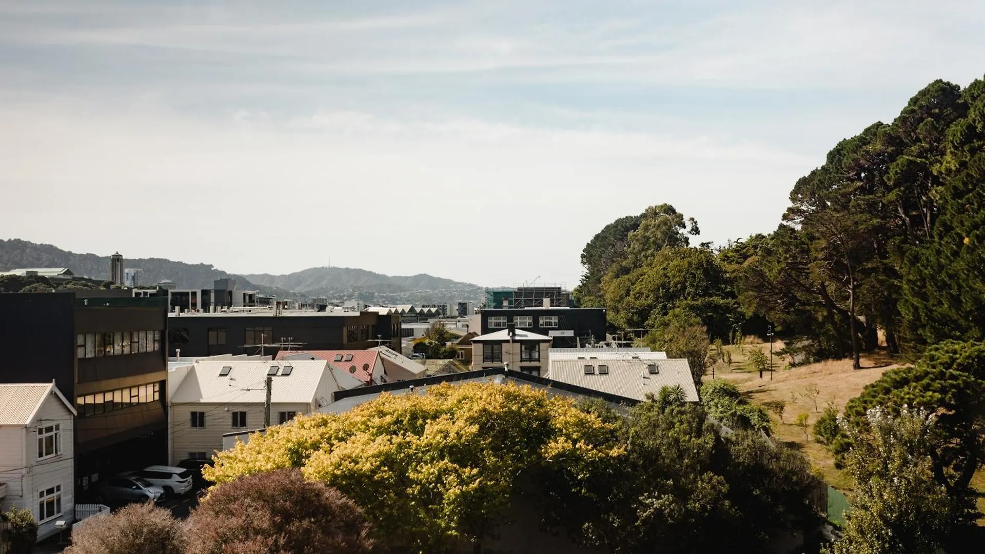 Brand New Wellington Central Apartments By Cp Collective