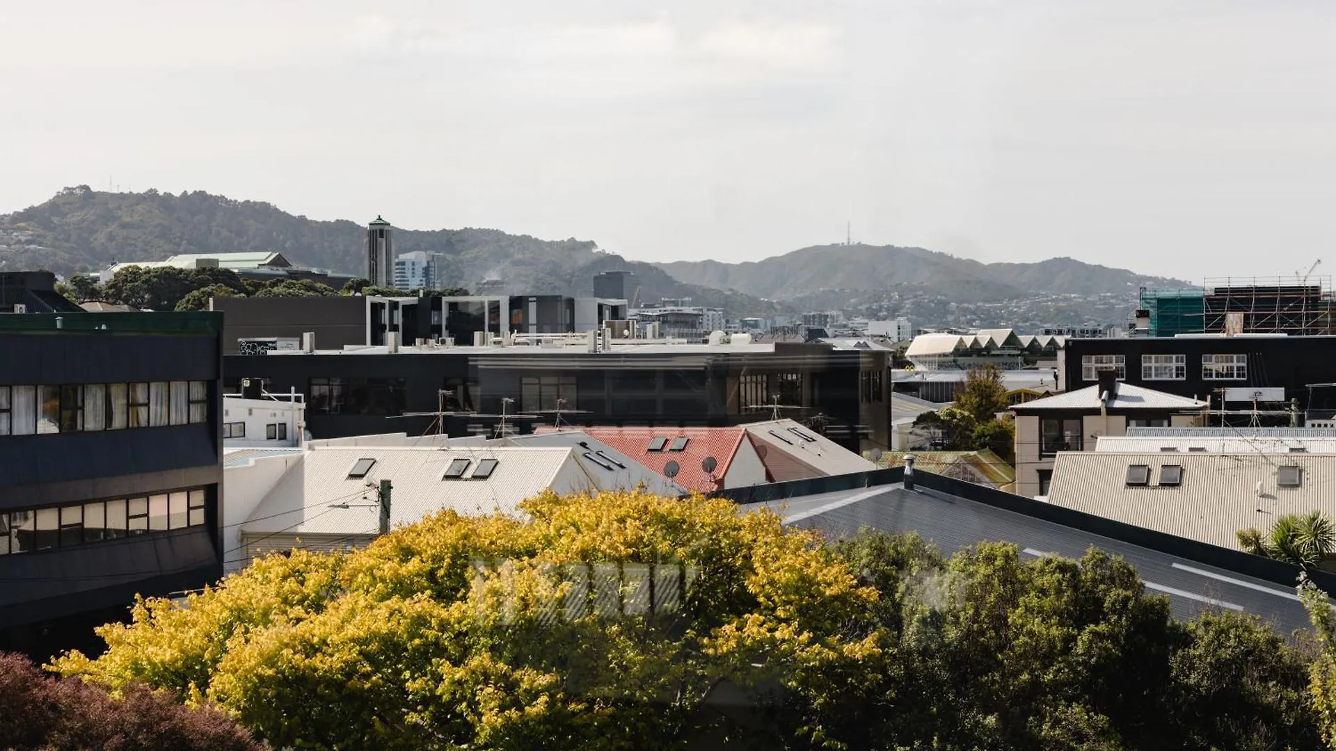 Brand New Wellington Central Apartments By Cp Collective